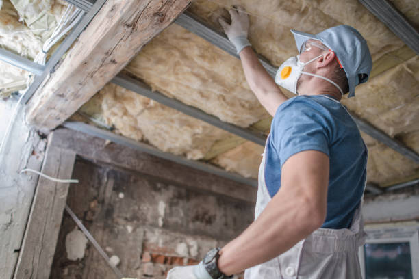 Types of Insulation We Offer in Hurley, NM